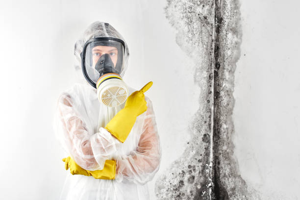 Best Mold Remediation for Healthcare Facilities  in Marlboro, NY